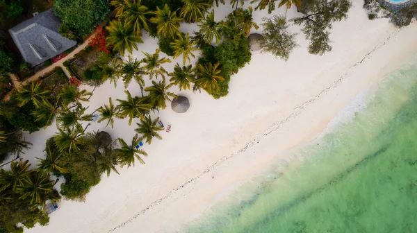 Zanzibar Stunning Drone Shot Exotic Beach Palm Trees Ocean — Photo