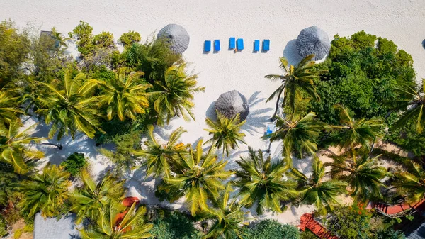 Drone Shot Zanzibar Beach Tropical Paradise Palm Trees White Sand — Zdjęcie stockowe