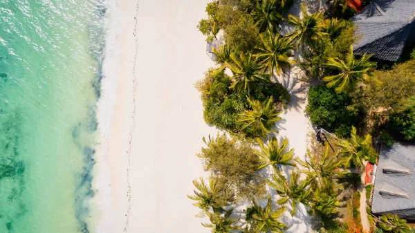 Drone Shot Zanzibar Beach Tropical Paradise Palm Trees White Sand — Photo