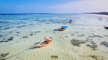 The traditional dhows on Zanzibar's beaches are a symbol of the island's connection to the sea and its fishing traditions.