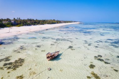 This drone shot of Nungwi Beach in Zanzibar captures the incredible beauty of the shoreline, with crystal-clear waters and golden sand providing a picture-perfect view.