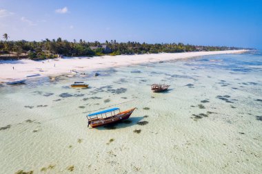 The traditional dhows on Zanzibar's beaches are a symbol of the island's connection to the sea and its fishing traditions.