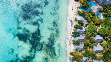 This drone shot of Nungwi Beach in Zanzibar captures the incredible beauty of the shoreline, with crystal-clear waters and golden sand providing a picture-perfect view.