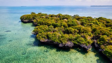 Discover the beauty of Zanzibar's hidden gems at Blue Safar Zanzibar, where you can explore the island's charming coves, enjoy a thrilling boat ride, and immerse yourself in the local culture with delicious food and refreshing drinks