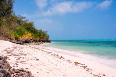 A vacation to Zanzibar's beaches offers the perfect blend of adventure and relaxation, with opportunities for travel, tourism, and exploration of the island's natural wonders.