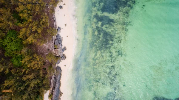 Vacation Zanzibar Beaches Offers Perfect Blend Adventure Relaxation Opportunities Travel — Photo