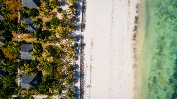 Aerial Photo Kiwengwa Beach Zanzibar Showcases Stunning Natural Beauty Island — Photo