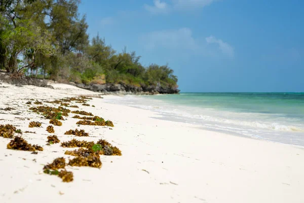 Questo Drone Della Spiaggia Nungwi Zanzibar Cattura Incredibile Bellezza Del — Foto Stock