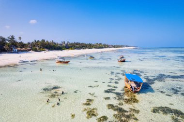 Spend your vacation in Zanzibar's picturesque Nungwi, where you can soak up the sun and admire the local fishing boats dotting the beach.
