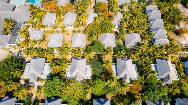 Zanzibar, Tanzanya 'nın güzelliğini keşfedin ve kumlu plajlar, turkuaz okyanuslar ve tropikal palmiye ağaçlarıyla dolu bir tatil yapın.