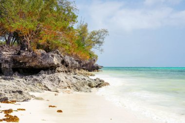 Spend your vacation in Zanzibar's picturesque Nungwi, where you can soak up the sun and admire the local fishing boats dotting the beach.
