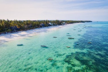 Relax on the white sand beach in Kiwengwa village on Zanzibar while admiring a Dhow catamaran sailboat gently gliding through the crystal-clear waters.