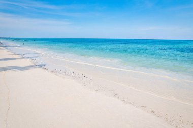 The aerial view of Zanzibar's Indian Ocean coastline is simply stunning, featuring palm trees, white sand, and sparkling blue waters. With luxurious hotels and a tropical landscape, it is the perfect destination for a summer holiday. 