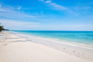 The aerial view of Zanzibar's Indian Ocean coastline is simply stunning, featuring palm trees, white sand, and sparkling blue waters. With luxurious hotels and a tropical landscape, it is the perfect destination for a summer holiday. 