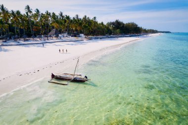 Relax on the white sand beach in Kiwengwa village on Zanzibar while admiring a Dhow catamaran sailboat gently gliding through the crystal-clear waters.