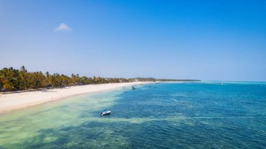 Relax on the white sand beach in Kiwengwa village on Zanzibar while admiring a Dhow catamaran sailboat gently gliding through the crystal-clear waters.