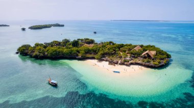 Board a traditional wooden dhow boat and discover the natural wonders of Zanzibar's Blue Safari, from coral reefs to deserted islands.