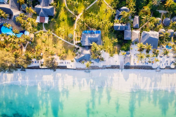 Perca Beleza Idílica Praia Palmeiras Zanzibar Oceano Azul Cintilante Nesta — Fotografia de Stock