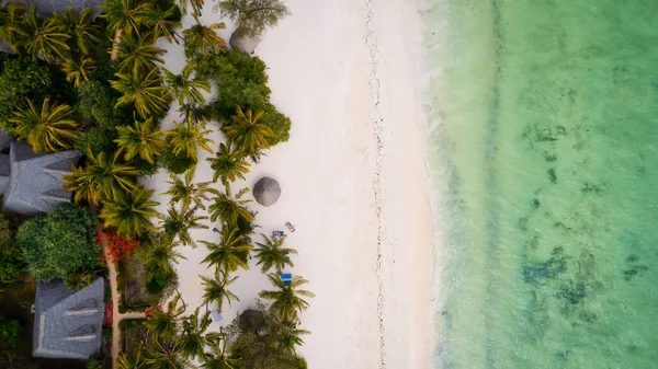 Perca Beleza Idílica Praia Palmeiras Zanzibar Oceano Azul Cintilante Nesta — Fotografia de Stock