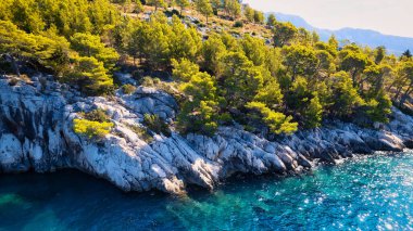 A drone captured the stunning aerial view of Croatia's coastal area, which features crystal-clear blue water and lush forests on land.