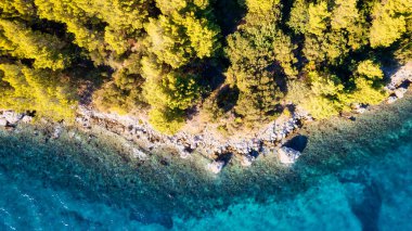 The stunning beauty of Croatia's rocks and forests is captured in this breathtaking aerial view. Take in the turquoise waters and beach from above, and add this travel image to your collection of unforgettable memories.