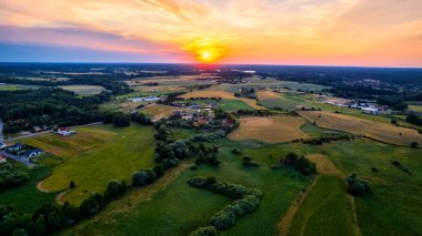 Kendinizi Polonya 'nın Günbatımındaki Sarı Tecavüz Tohumu Alanına daldırın. Mükemmel bir zemin olarak Mavi Gökyüzü
