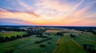 Kendinizi Polonya 'nın Günbatımındaki Sarı Tecavüz Tohumu Alanına daldırın. Mükemmel bir zemin olarak Mavi Gökyüzü