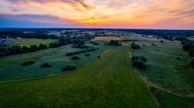 Kendinizi Polonya 'nın Günbatımındaki Sarı Tecavüz Tohumu Alanına daldırın. Mükemmel bir zemin olarak Mavi Gökyüzü