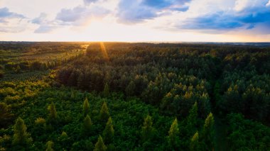 Polonya 'nın Gorzw Wlkp yakınlarındaki tarlalarda gün batımının insansız hava aracı tarafından çekilmiş bir fotoğraf..
