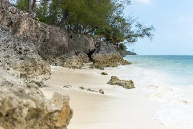 Zanzibar 'daki Mtende Sahili büyüleyici palmiye püsküllü kumları ve kristal berrak sularıyla tropik bir cennet arayanlar için bir sığınak..