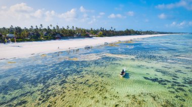 Zanzibar 'ın tropikal sahilinin güzelliğini kuş bakışı bir manzaradan, gün doğumunda kumlu sahilde dinlenen balıkçı tekneleriyle yaşayın. Yukarıdan aşağıya doğru olan perspektifte berrak mavi sular, yeşil palmiye ağaçları ve hatta bir yat bile görülüyor..