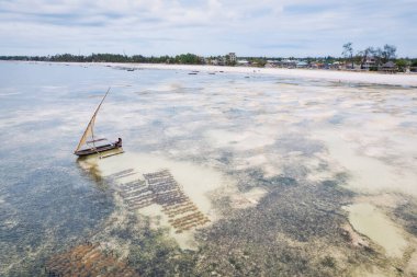 Zanzibar 'ın tropik cenneti güneş doğarken kumlu sahilde dinlenen balıkçı teknelerinin hava manzarasıyla canlanır. Manzarada berrak mavi sular, bereketli palmiye ağaçları ve uzakta bir yat bulunur..