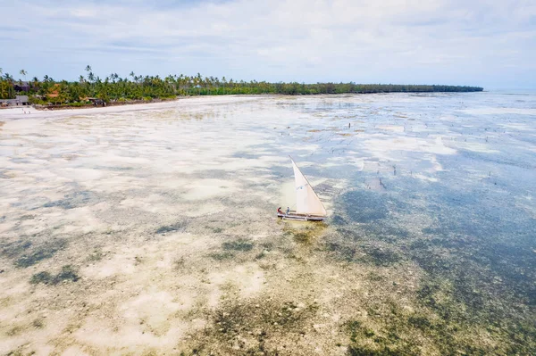 Poznaj Piękno Tropikalnego Wybrzeża Zanzibaru Lotu Ptaka Łodzie Rybackie Odpoczywają — Zdjęcie stockowe