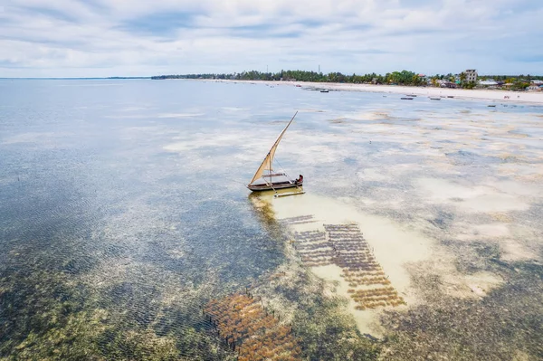 Das Tropische Paradies Sansibar Erwacht Diesem Luftbild Von Fischerbooten Die — Stockfoto