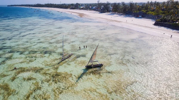 stock image Experience the beauty of Zanzibar's tropical coast from a bird's eye view, with fishing boats resting on the sandy beach at sunrise. The top-down perspective showcases clear blue waters, green palm trees, and even a yacht.