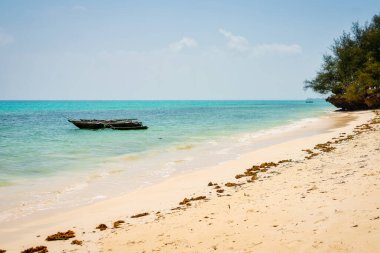 Rahatlamak ya da macera aramak isterseniz Zanzibar Plajı, kristal berrak suları ve tüm ihtiyaçlarınızı karşılayabilecek beyaz kumlu kıyıları olan tropik bir cennettir..