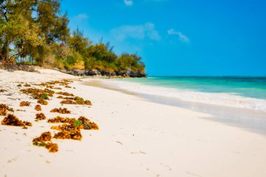 Zanzibar 'ın beyaz kumlu plajları tembel Zanzibar plaj yazlarını geçirmek için ideal yerlerdir..
