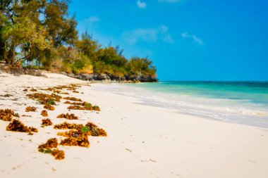 Sıcak hava ve sakin sular Zanzibar plaj yazlarını su sporları meraklıları için popüler bir yer haline getiriyor..