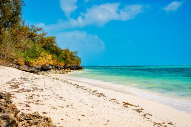 Sıcak hava ve sakin sular Zanzibar plaj yazlarını su sporları meraklıları için popüler bir yer haline getiriyor..