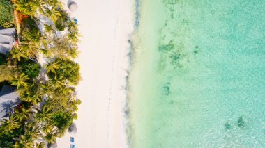 Kristal berrak suların beyaz kumlu kıyılarla buluştuğu ve rüzgarda hışırdayan palmiye ağaçlarının seslerinin rahatlatıcı bir kaçış sunduğu Zanzibar Sahili 'nin sakinliğini ve güzelliğini hissedin..