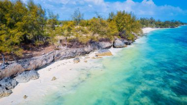 Kristal berrak suların beyaz kumlu kıyılarla buluştuğu ve rüzgarda hışırdayan palmiye ağaçlarının seslerinin rahatlatıcı bir kaçış sunduğu Zanzibar Sahili 'nin sakinliğini ve güzelliğini hissedin..