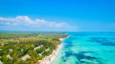 Zanzibar Plajı, nefes kesen berrak suları ve turistlere tropik bir kaçış arayan el değmemiş beyaz kumları olan egzotik bir cennettir..