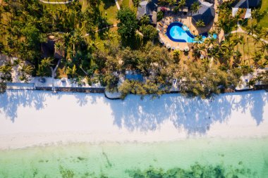 Zanzibar Adası 'ndaki tropikal manzara canlı renkler, egzotik bitki örtüsü ve eşsiz faunalarla doludur..