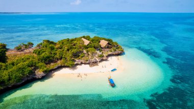 Zanzibar Adası 'ndaki tropikal manzara canlı renkler, egzotik bitki örtüsü ve eşsiz faunalarla doludur..