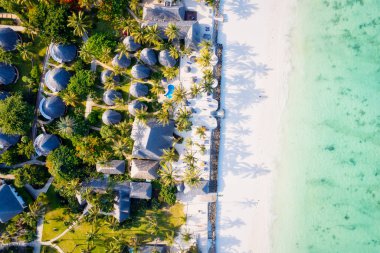 Zanzibar Adası 'ndaki tropikal manzara canlı renkler, egzotik bitki örtüsü ve eşsiz faunalarla doludur..