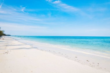 Zanzibar Adası 'ndaki tropikal manzara canlı renkler, egzotik bitki örtüsü ve eşsiz faunalarla doludur..