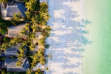 Zanzibar Adası 'ndaki tropikal manzara canlı renkler, egzotik bitki örtüsü ve eşsiz faunalarla doludur..