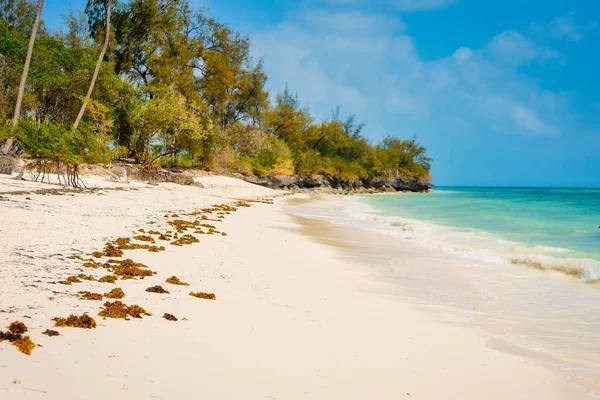 无论你是想放松自己还是寻求冒险 桑给巴尔海滩都是一个热带天堂 有着清澈的海水和洁白的沙滩 可以满足你的所有需求 — 图库照片