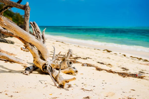 Λευκές Αμμώδεις Παραλίες Της Ζανζιβάρης Είναι Ιδανικό Σημείο Για Περάσετε — Φωτογραφία Αρχείου