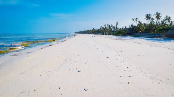 体验桑给巴尔海滩的宁静与美丽 那里清澈的海水与洁白的沙滩相接 棕榈树在微风中沙沙作响的声音提供了平静的出路 — 图库照片